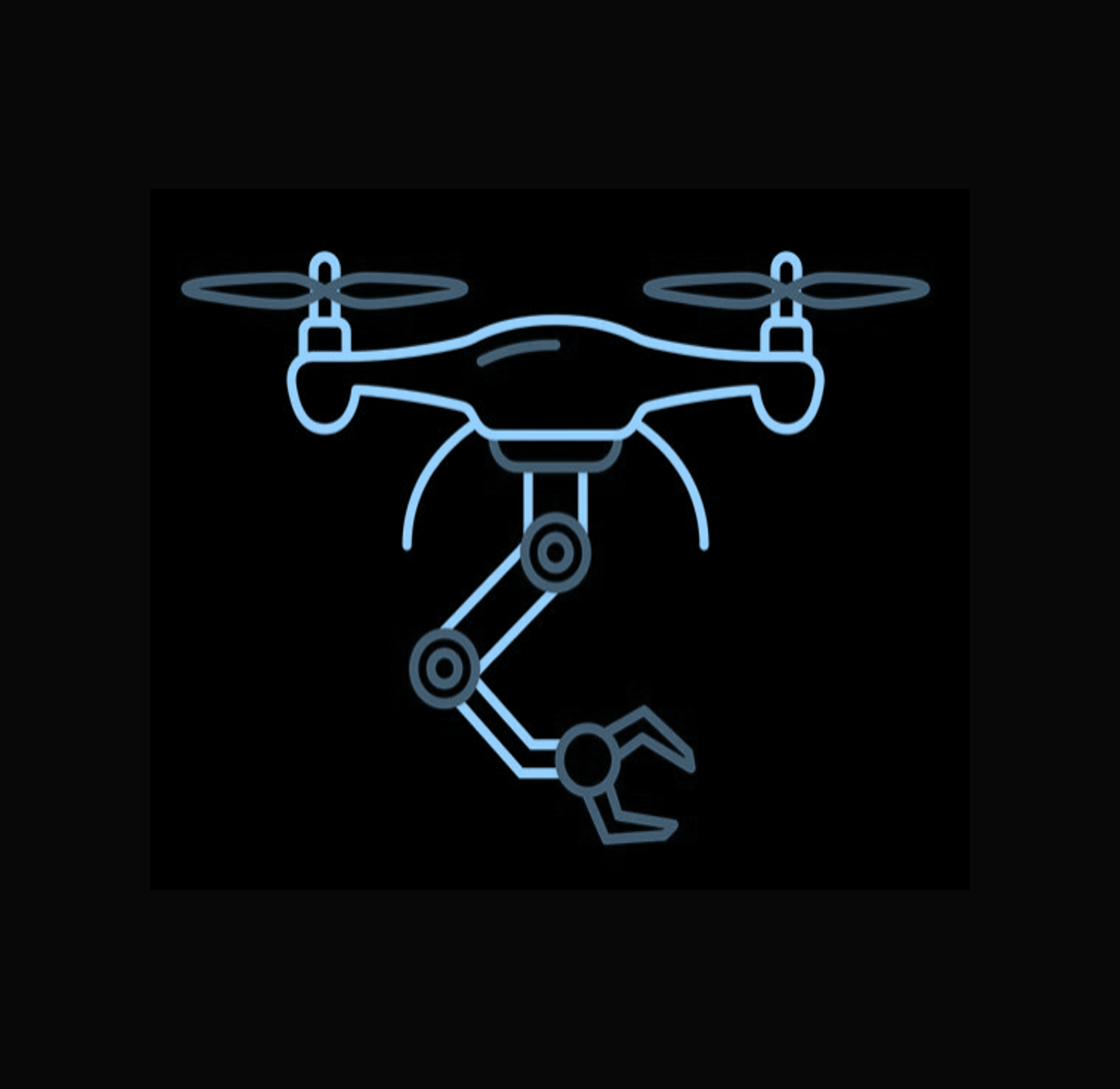 Aerial Manipulator System